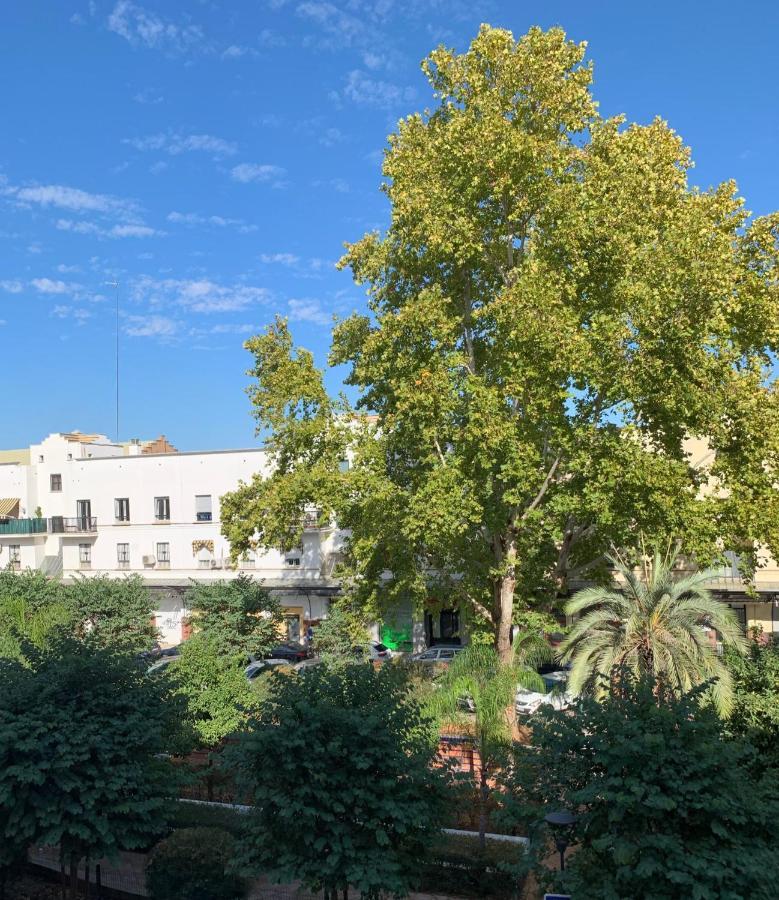 סביליה Acogedor Apartamento En Pleno Corazon De Triana מראה חיצוני תמונה